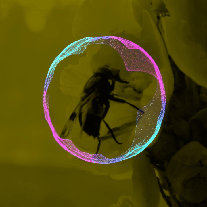 BumbleApps Digital Media Animated Logo